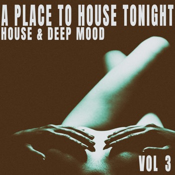 Various Artists - A Place to House Tonight, Vol. 3