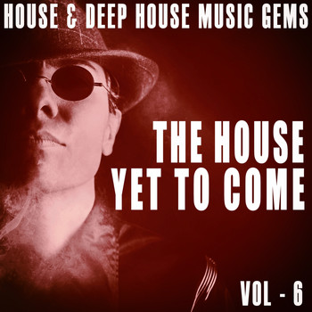 Various Artists - The House yet to Come, Vol. 6