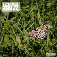 Ivan Litus - Seventeen Moments of Spring