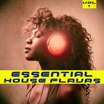 Various Artists - Essential House Flavas, Vol. 1