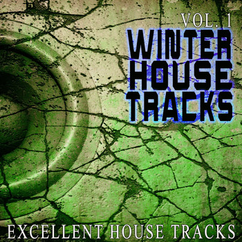 Various Artists - Winter House, Vol. 1 - Excellent House