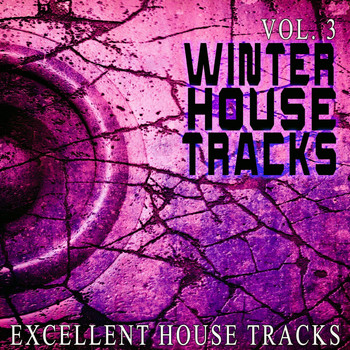 Various Artists - Winter House S, Vol. 3 - Excellent House S