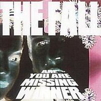 The Fall - Are You Are Missing Winner (Deluxe Edition [Explicit])