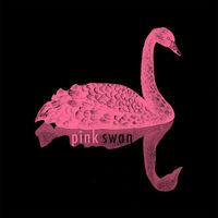 Pink Swan - First Day
