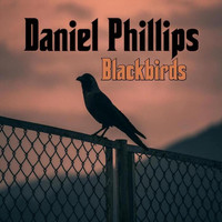 Daniel Phillips - Blackbirds