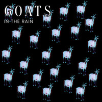 Brad Majors - Goats in the Rain