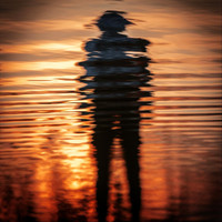 Waywell - It Comes in Waves