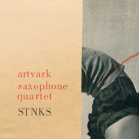 Artvark Saxophone Quartet - STNKS
