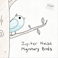 Jupiter Noise - Migratory Birds