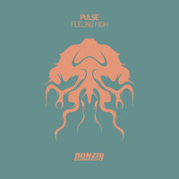 Pulse - Feeling High