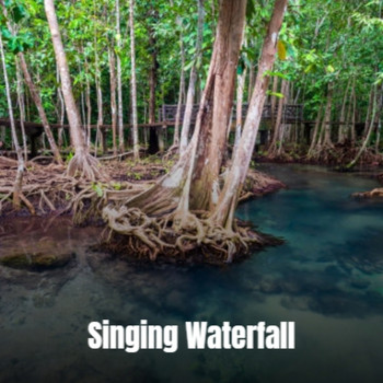 Various Artist - Singing Waterfall