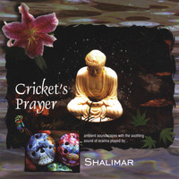 Shalimar - Crickets Prayer