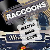 Raccoons - Electro Shock Boogie