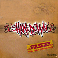 Shakedown - New Sound Delivery