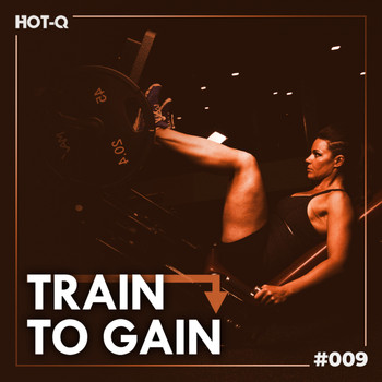 Various Artists - Train To Gain 009