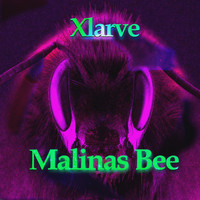 Xlarve - Malinas Bee (Mixes)