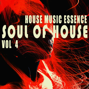 Various Artists - Soul of House, Vol. 4
