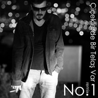 No.1 - Çiçeklerde Bir Telaş Var (Remix) (Explicit)