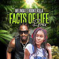 Melinda - Facts of Life (Remix)