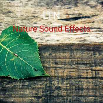 LTN - Nature Sound Effects