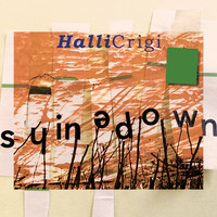 Halli Crigi - Shinedown