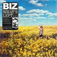 BIZ - What's Left