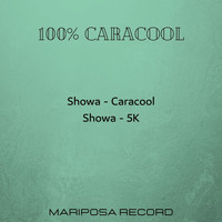 Showa - 100% Caracool