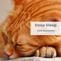 Deep Sleep - Calm Relaxation