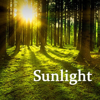 Four Seasons - Sunlight