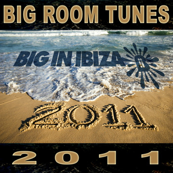 Various Artists - Big Room Tunes 2011