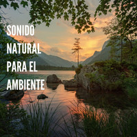 Sonido Natural - Sonido Natural para el Ambiente