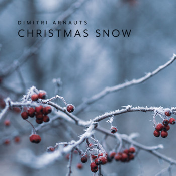 Dimitri Arnauts - Christmas Snow