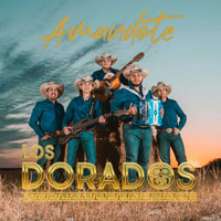 Los Dorados - Amandote
