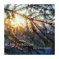 Wataru Kamei - Blow Through