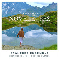 Pieter Schuermans & Ataneres Ensemble - Novelettes