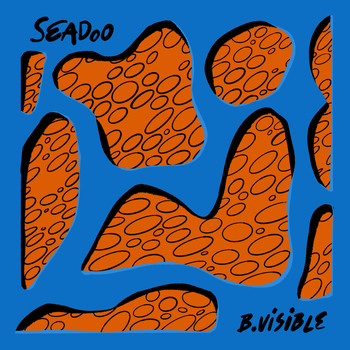 B.Visible - Seadoo
