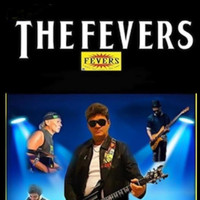 The Fevers - Beija Flor