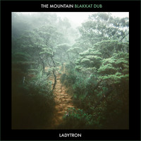 Ladytron - The Mountain (Blakkat Dub)