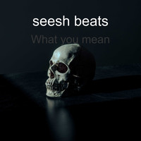 Seesh Beats - What You Mean