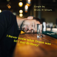 Brian D. Wilson - I Never Knew What Drunk Was Till I Met Brittney