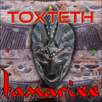 Toxteth - Tamarixx