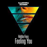 Habbo Foxx - Feeling You