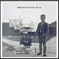 Don Morrison - The Rat Plague of '66