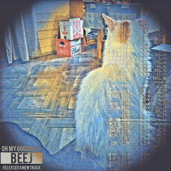 Beej - R.I.K (Explicit)