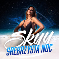 Skyy - Srebrzysta noc (Radio Edit)