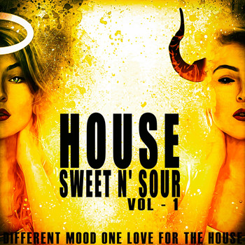 Various Artists - House Sweet N' Sour, Vol. 1