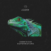 Leandro Da Silva - Supernature (Extended Mix)