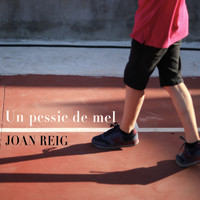 Joan Reig - Un pessic de mel (Single Edition)