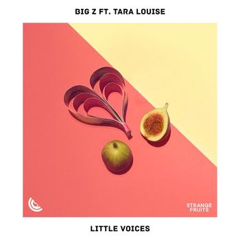 Big Z - Little Voices (feat. Tara Louise)