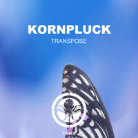 Kornpluck - Transpose